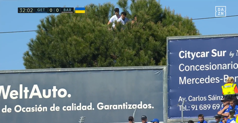 🎥 | Dat is nog eens clubliefde! Spaanse fans klimmen in een boom om wedstrijd te zien