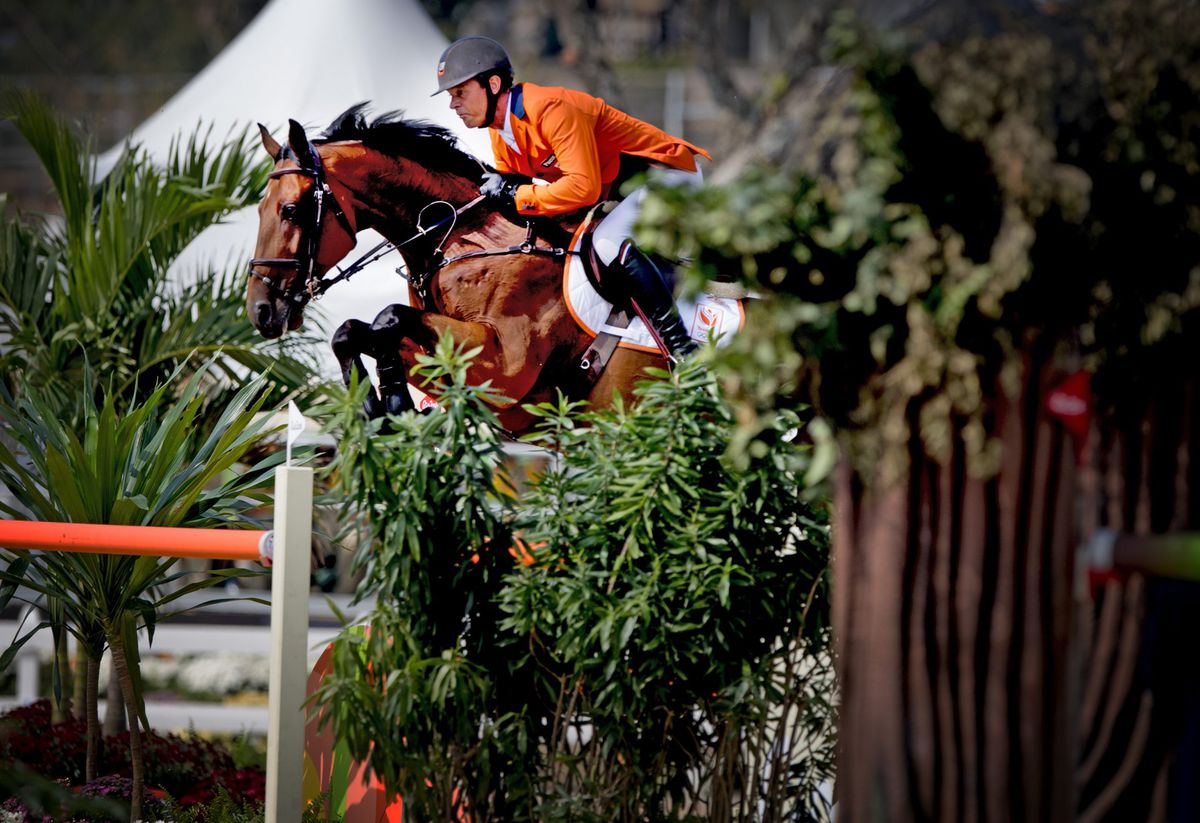Paardensport op de Olympische Spelen in Tokio: hoe zit het precies?