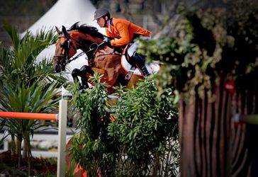 Paardensport op de Olympische Spelen in Tokio: hoe zit het precies?