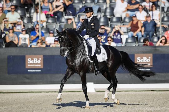 Al 4 paarden overleden aan virus na topsportevenement: 'De ergste van 3 varianten heeft toegeslagen'