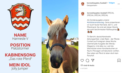 🎥 | Duitse voetbalclubs krijgen supersubs binnen de lijnen: 2 paarden