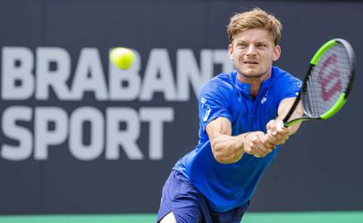 David Goffin simpel naar kwartfinales Libema Open