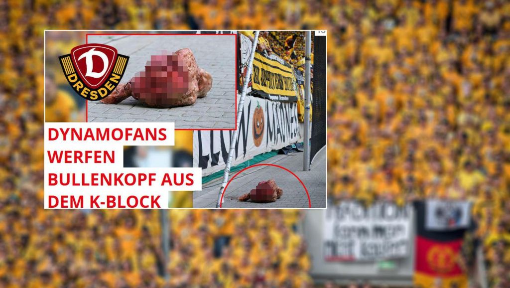 Fans Dresden gooien stierenkop in stadiongracht