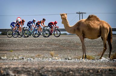 Zandhappen op de fiets: UCI pompt nieuwe wielerwedstrijd uit de grond