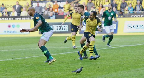 Hoe een duif het nieuwe clubicoon van Borussia Dortmund werd 🕊️