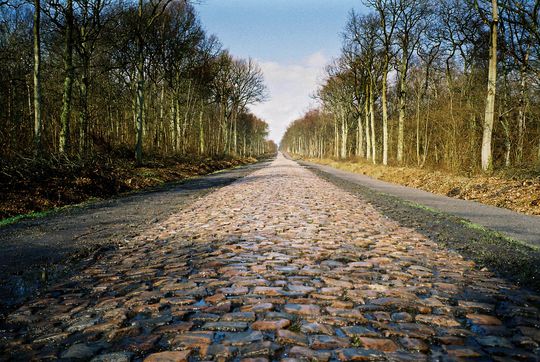 Het Bos van Wallers, een stukje Bermuda-driehoek in Parijs-Roubaix