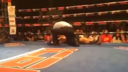 Spong viert verjaardag met knock-out (video)