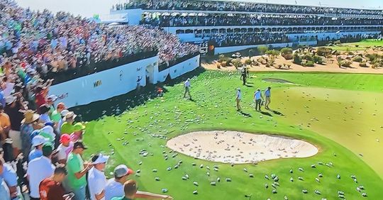 🎥 | Ongekende bierdouche na hole-in-one op befaamde hole 16 van het Phoenix Open