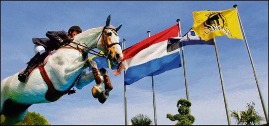 Officieel: inmiddels al 17 sportpaarden overleden door besmettelijk virus