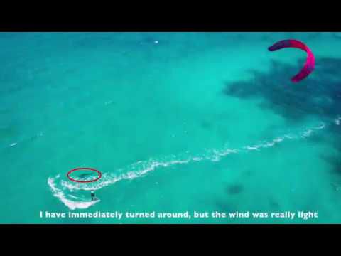 WTF! Kitesurfster ziet ineens een witte haai meezwemmen (video)