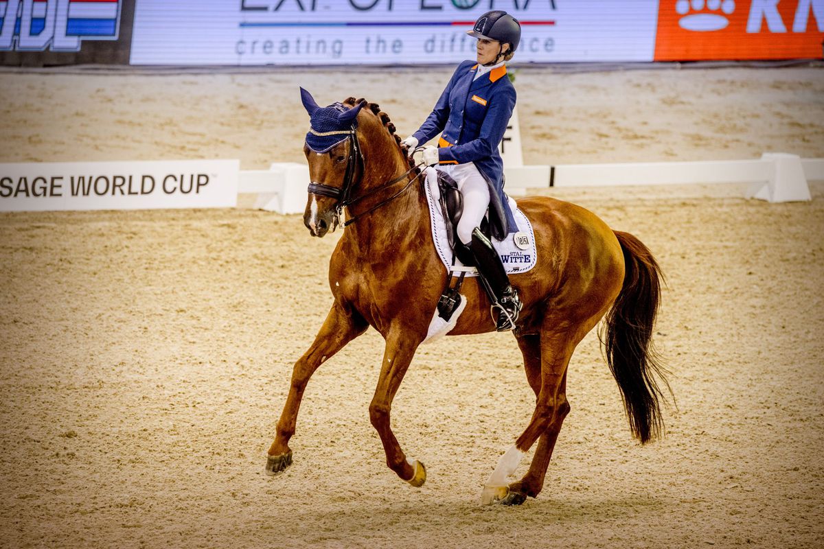 Madeleine Witte-Vrees zegt 'nee' tegen wildcard: paard is niet fit