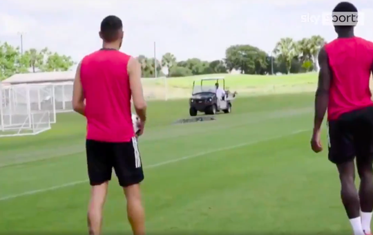 🎥 | Toronto-spelers schrikken van alligator op trainingsveld: 'Ze hielden expres afstand'