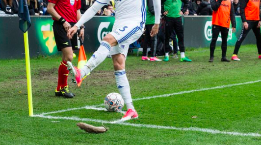 WTF! Brondby-fans smijten met dode ratten (video)