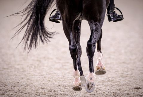 2e plek voor Nederlandse dressuurruiters bij Nations Cup