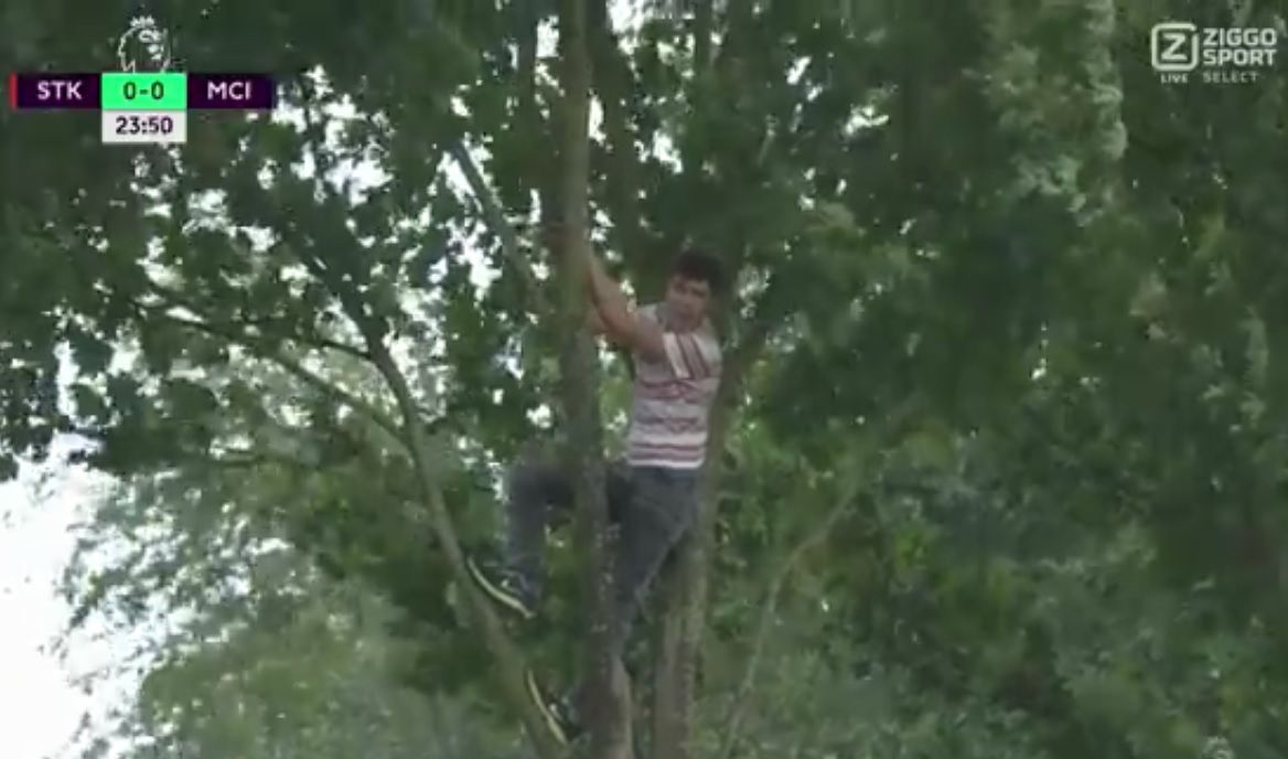 Britse bomenklimmer kijkt lekker mee met ManCity (video)