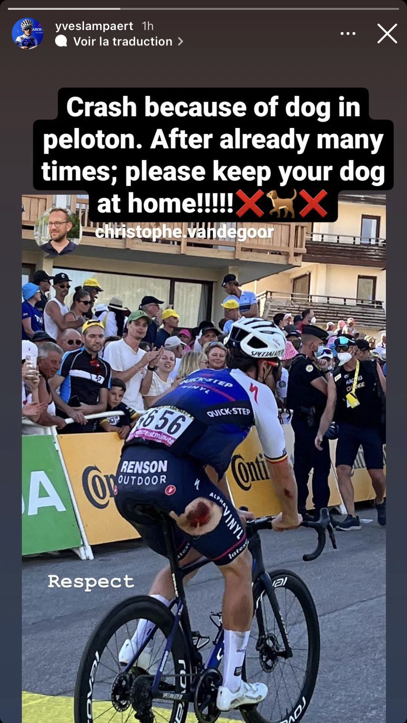 📸​ | 'Laat je hond thuis!' Yves Lampaert smakt in Tour door viervoeter op de grond
