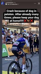 📸​ | 'Laat je hond thuis!' Yves Lampaert smakt in Tour door viervoeter op de grond
