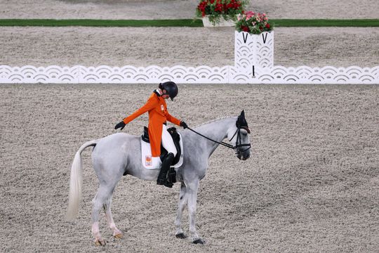 Nederlands paard drinkt in Tokio geen kraanwater: 'Hij drinkt nu 45 liter water uit flessen per dag'