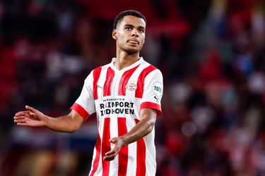 'Manchester United overweegt Cody Gakpo, maar PSV ontvangt nog geen bod'