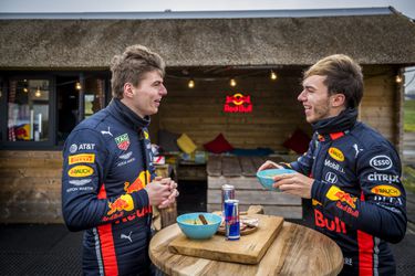 Gasly prijst teamgenoot Verstappen: 'Beste wat mij kan overkomen'