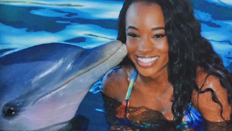 Dolfijn brengt smartphone cheerleader Miami Heat terug