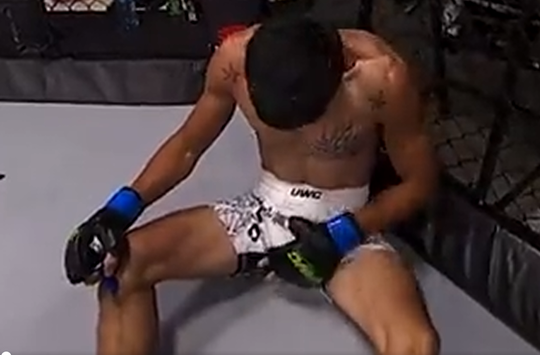 🎥 | MMA-vechter deelt knietje uit in zaakje van tegenstander en scheids vindt het wel best