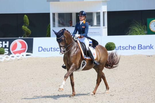 Voor het eerst in 20 jaar alleen vrouwen in Nederlandse selectie voor WK dressuur