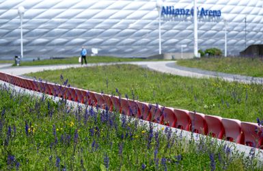 Voetballer (15) overlijdt na gevecht tijdens jeugdtoernooi