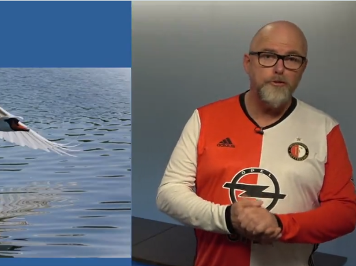 🎥😂 | Lokale weerman Ed presenteert weerbericht in Feyenoord-shirt