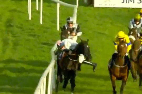 Wauw! Deze jockey valt van zijn paard, maar wint alsnog de race! (video)