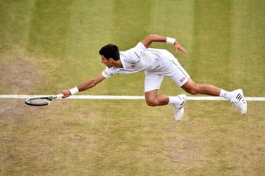 Djokovic neemt wildcard voor grastoernooi Eastbourne aan