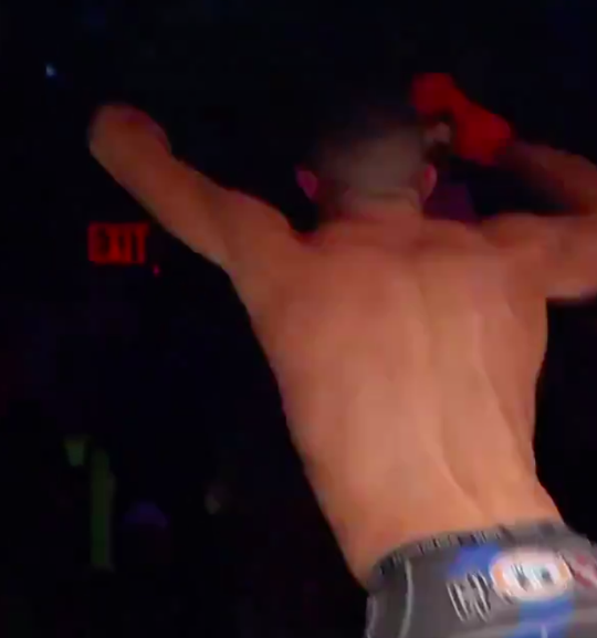 Eenarmige Nick Newell wint bij Bellator-debuut van Corey Browning (video)