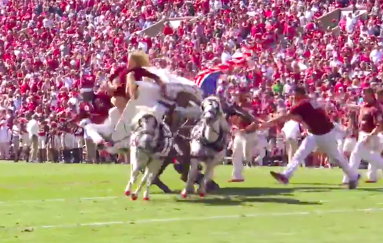 🎥 | American football-college paard en wagen crasht keihard in vol stadion