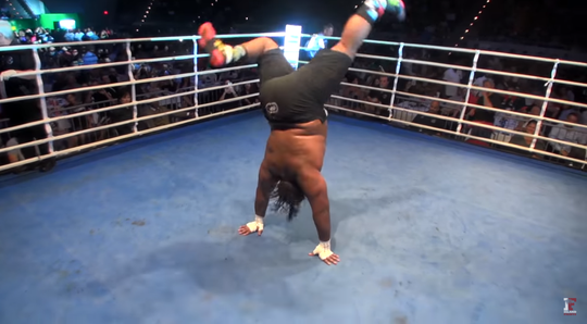 🎥 | Glimlach gegarandeerd: deze dansende knuffelbeer debuteert binnenkort in UFC