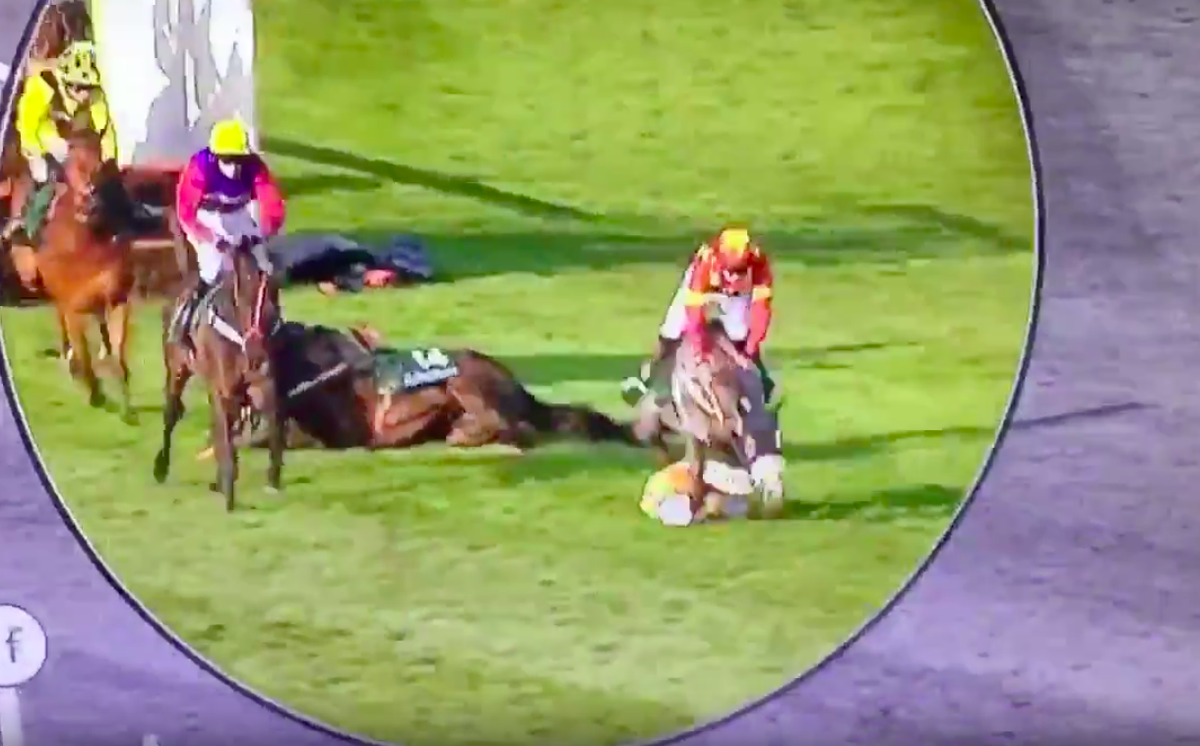 Jockey pleurt van paard en wordt vertrapt door tegenstander, maar mankeert weinig (video)