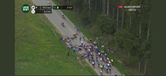 Romain Bardet schrok van crash Alaphilippe: 'Hij kon niet bewegen'