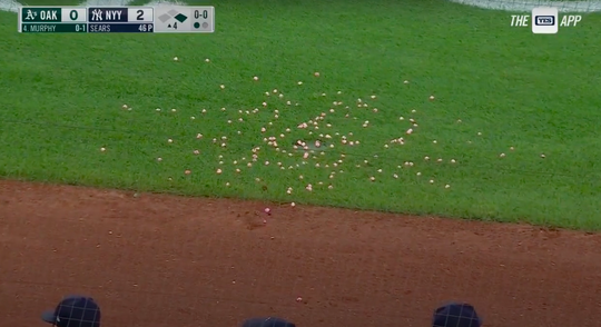 🎥 | New York Yankees-dugout speelt 'bubblegum game' tijdens duel: 'Dit is goor!'