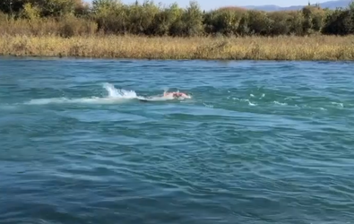 🎥 | Wat een training! Khabib zwemt vol tegen ijskoude stroming in