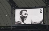 Pelé staat nu in het Portugese woordenboek en betekent dit featured image