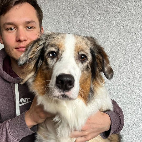 📸 | Schattig! Hond van Marcel Bosker en Melissa Wijfje heeft Instagram-account