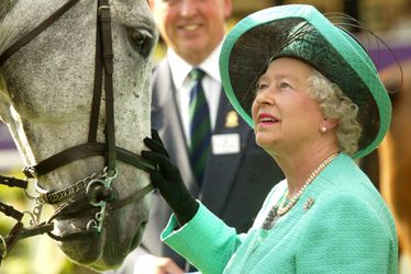 Zoveel poen pakte de Britse koningin met paardenraces en paardenfokkerij