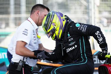 Red Bull-teambaas Chris Horner vindt dat Lewis Hamilton zich aanstelt: 'Mercedes kan stuiterprobleem direct oplossen'