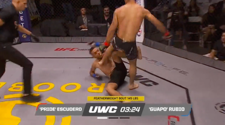 🎥 | Illegaal! MMA-vechter deelt verboden 'soccer kick' uit terwijl opponent op de grond ligt
