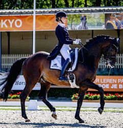 Paardeneigenaar over bizarre Hermes-zaak voor de Olympische Spelen: 'Het lijkt op de toeslagenaffaire'