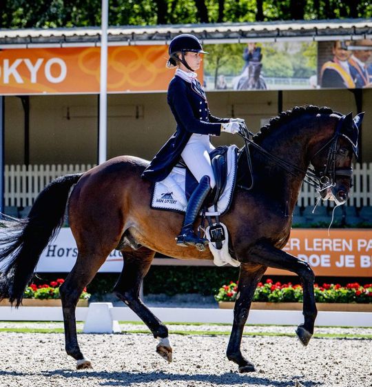 Paardeneigenaar over bizarre Hermes-zaak voor de Olympische Spelen: 'Het lijkt op de toeslagenaffaire'