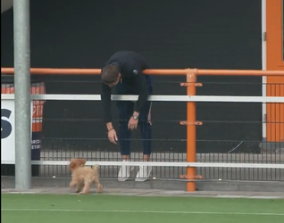🎥​ | Hondje van Joey Veerman draait iedereen dol op trainingsveld van Volendam