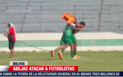 🎥 | Check! Boliviaanse voetbalduel stilgelegd na enorme bijeninvasie