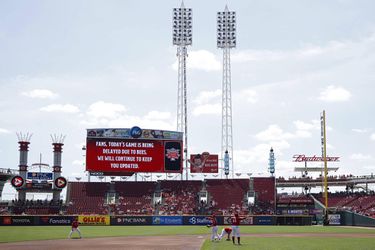 Bijen verstoren honkbalwedstrijd in MLB (video) 🐝