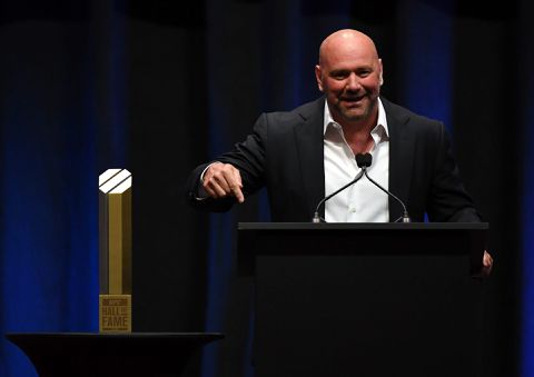 Dana White wil dat Conor McGregor zich richt op de UFC: 'Boksen kan altijd nog'
