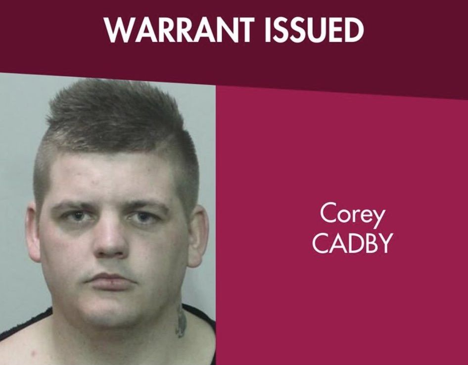 Bizar: topdarter Cadby gezocht door Australische politie